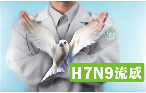 H7N9流感(另開新視窗)