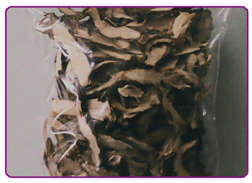 石昌蒲