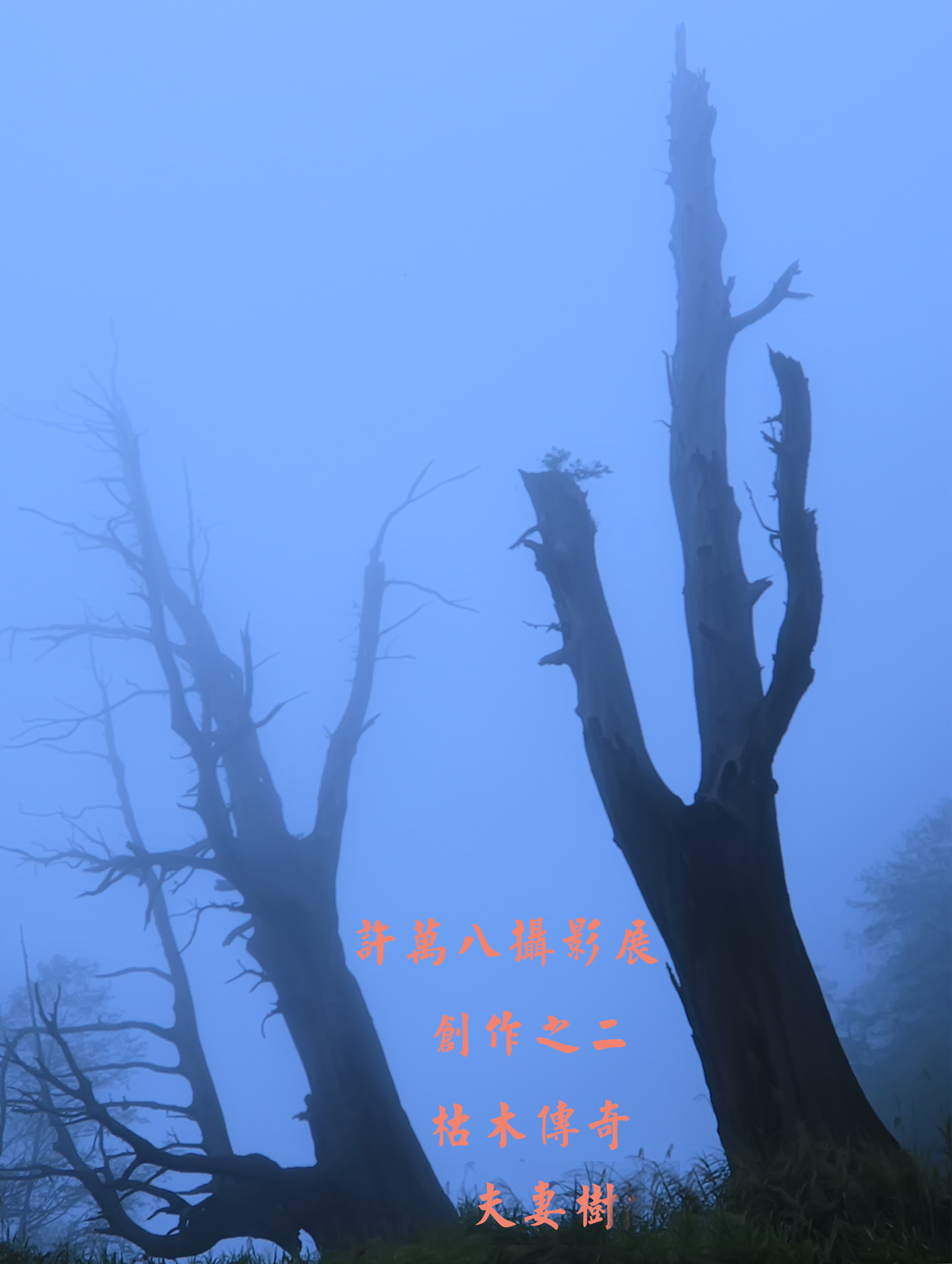 許萬八攝影展 創作之二(枯木傳奇)