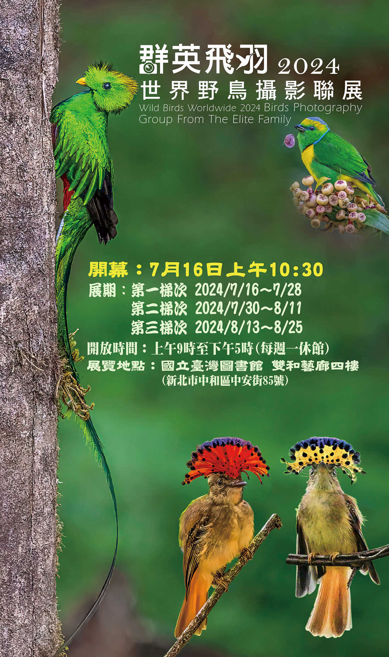 群英飛羽2024世界野鳥攝影聯展