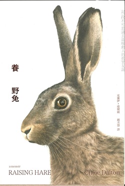 養野兔