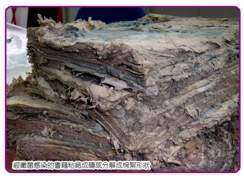 國立臺灣圖書館